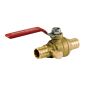 Drain valve