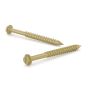 Vis à béton avec enduit Gold Seal, tête hexagonale avec rondelle, 1/4" x 3 1/4", 6/pqt