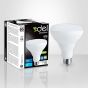 Ampoule DEL BR30, ambiance, lumière du jour, 9,5 W