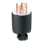NEMA L14-30P Locking plug