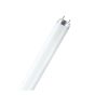 Fluorescent Tube - Daylight - 18" - T8 - 15 W