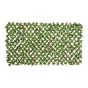 Extendable Gardenia Trellis