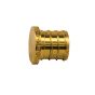 PEX Plug - 3/4"