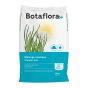 All-Purpose Lawn Seeds - 10 kg