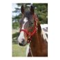 Classic western raw leather halter with carabiner hook