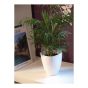 Orchid Artdeco Ceramic Pot - 14 cm - White