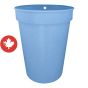 Maple water bucket
