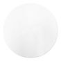 Vacuum Filter Press Polyester Filter - 12/Pkg - 9"
