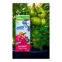 Engrais pour tomates et légumes 4-6-8, 1,5 kg