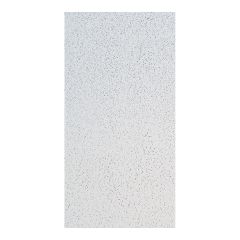 Ceiling Panel - Model 280 - 2' x 4' - 8/Pkg - Covers 64 sq. ft.