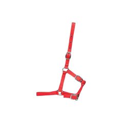Licou pour poulain, rouge, 0 to 300 lb