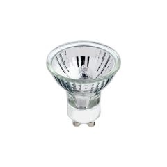 Ampoule halogène, MR16, blanc doux, 50 W, 2/pqt
