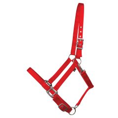 Licou pour poney, rouge