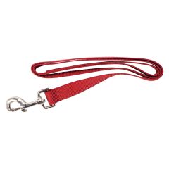 Simple Leash - Red - 1" x 48"