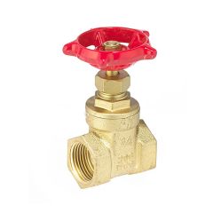 Valve gate fpt brass 1/2"