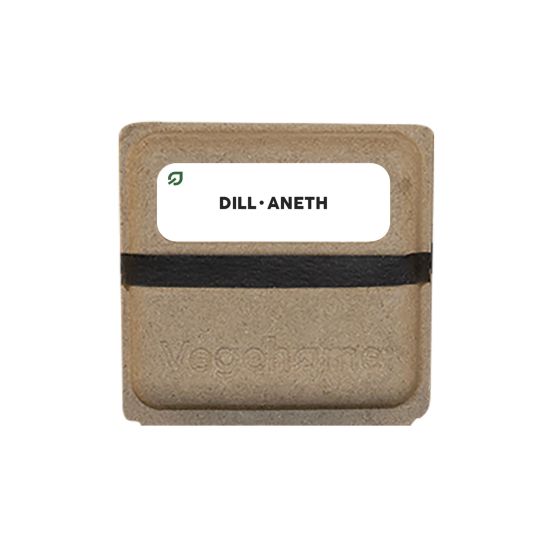 Vegehome Dill Seedkit