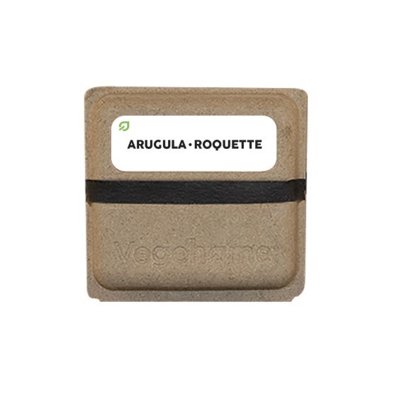 Vegehome Arugula Seedkit