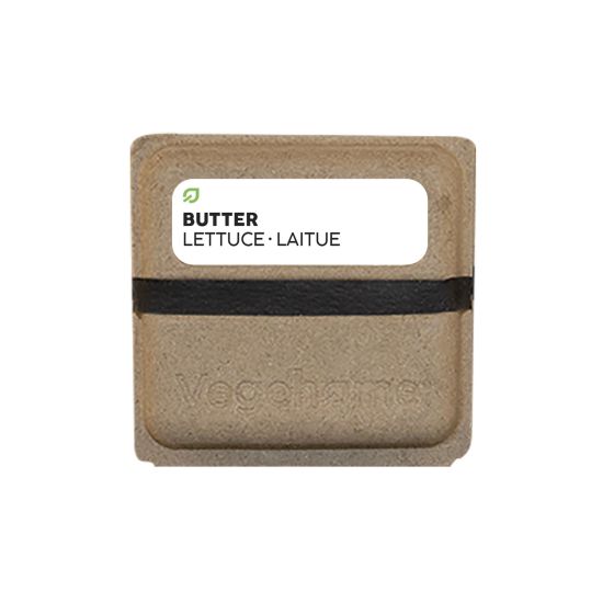Vegehome Butterhead lettuce Seedkit