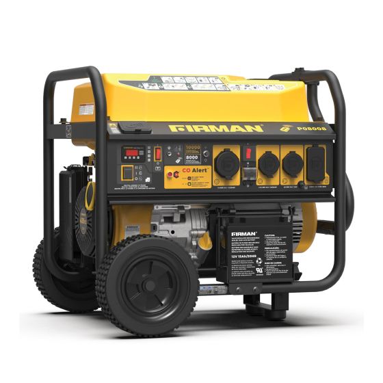 Portable Gas Generator - 10000W/8000W - 439cc