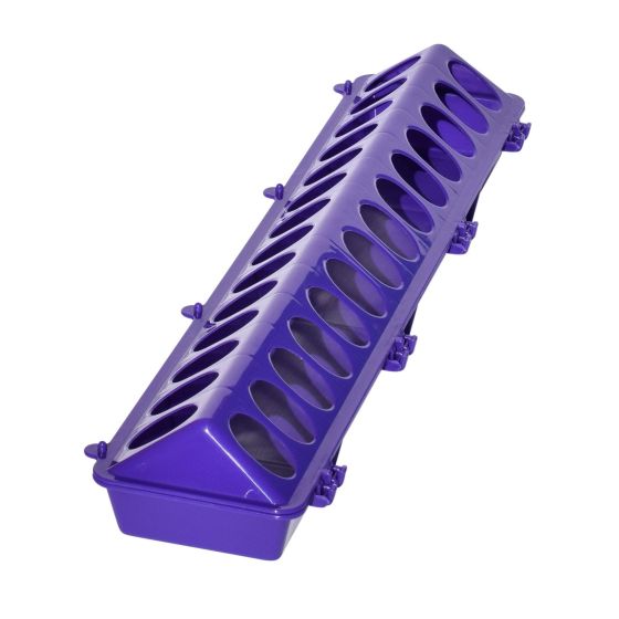 Mangeoire au sol en plastique pour volaille, 20", mauve