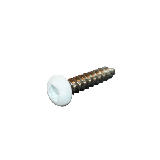 Vis, acier inoxydable, #8 x 3/4", blanc, 500/pqt