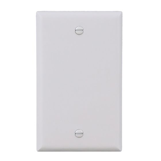 Wallplate - Blank - 1 Gang - Plastic - White