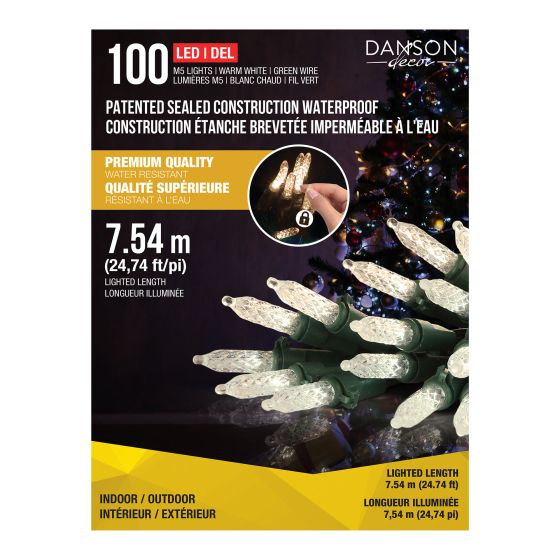 100 M5 LED Lights, Warm White