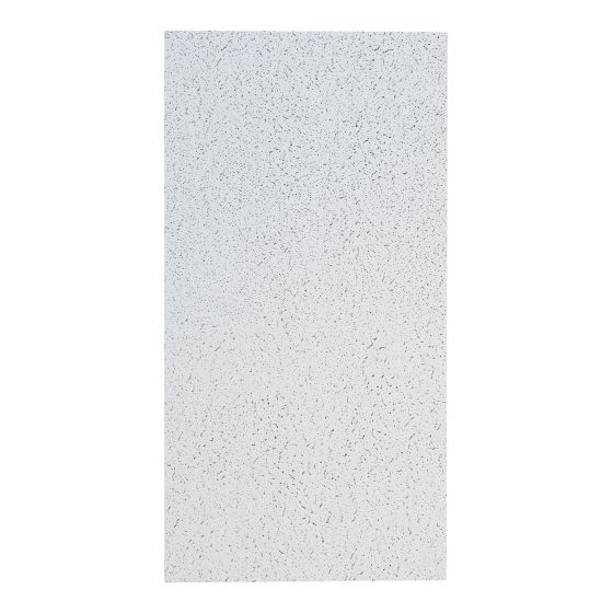 Ceiling Panel - 2' x 4' - 8/Pkg - Covers 64 sq. ft.