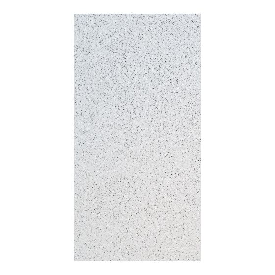 Ceiling Panel - Model 280 - 2' x 4' - 8/Pkg - Covers 64 sq. ft.