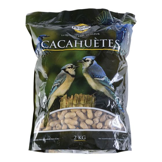 Cacahuètes pour oiseaux sauvages