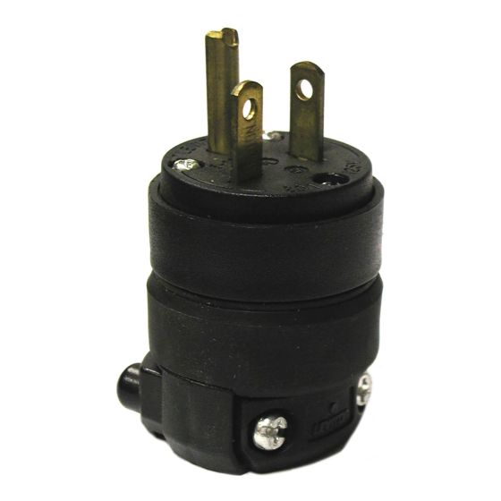 Grounding plug two pole