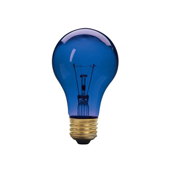 Ampoule fête, incandescente, A19, 60 W, bleu
