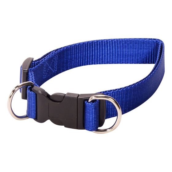 Adjustable Nylon Dog Collar