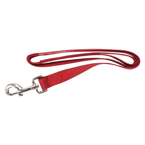 Simple Leash - Red - 1" x 48"