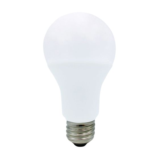 Ampoule DEL A21, blanc doux, 17 W