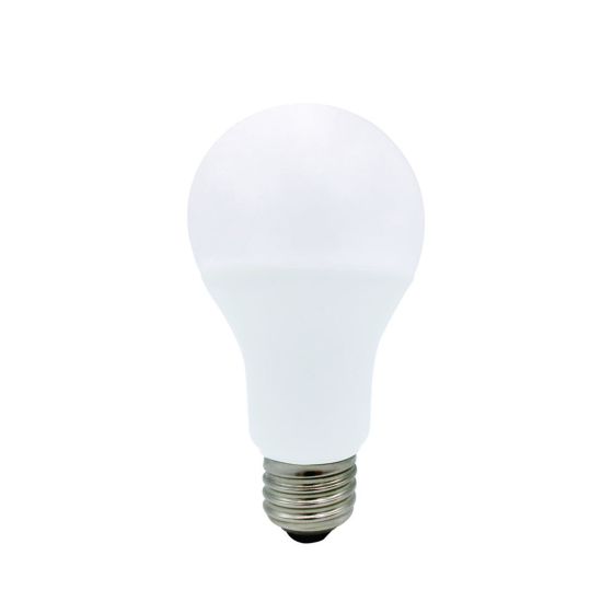 Ampoule DEL A21, lumière du jour, 17 W