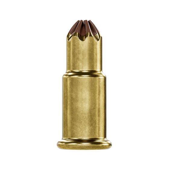 Cartouche calibre .22