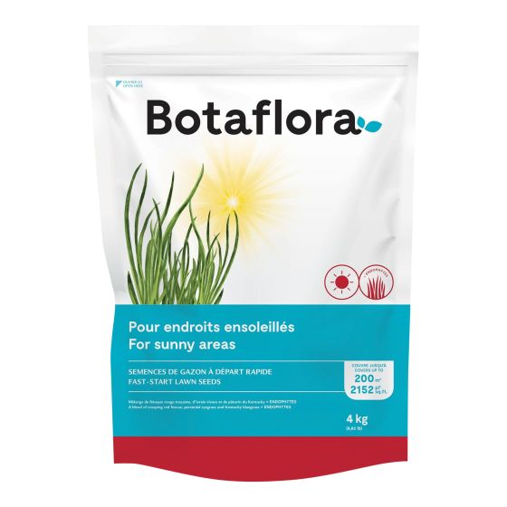 Fast-Start Lawn Seeds - 4 kg