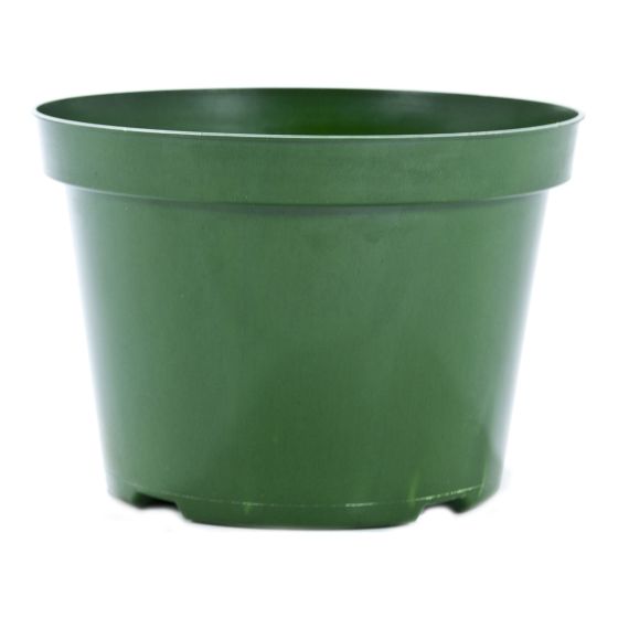 Plastic Production Pot for Seedling - Green - 6"