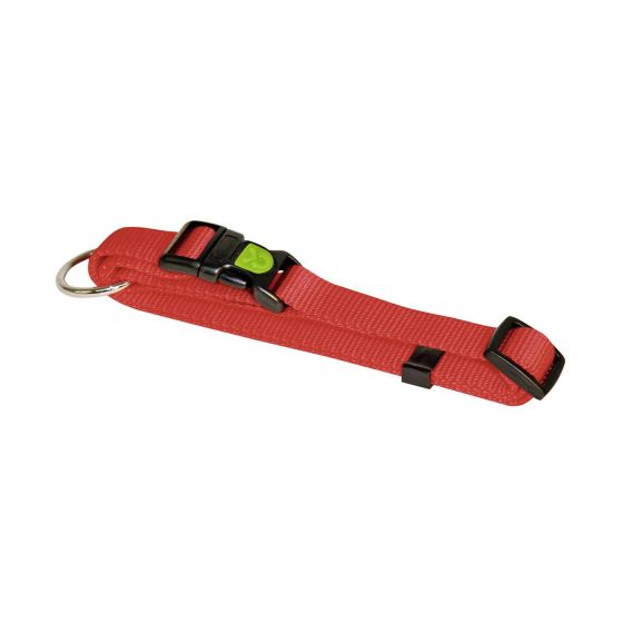 Nylon dog collar