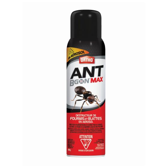 Destructeur de fourmis et blattes Ortho Ant BGon MAX en aérosol