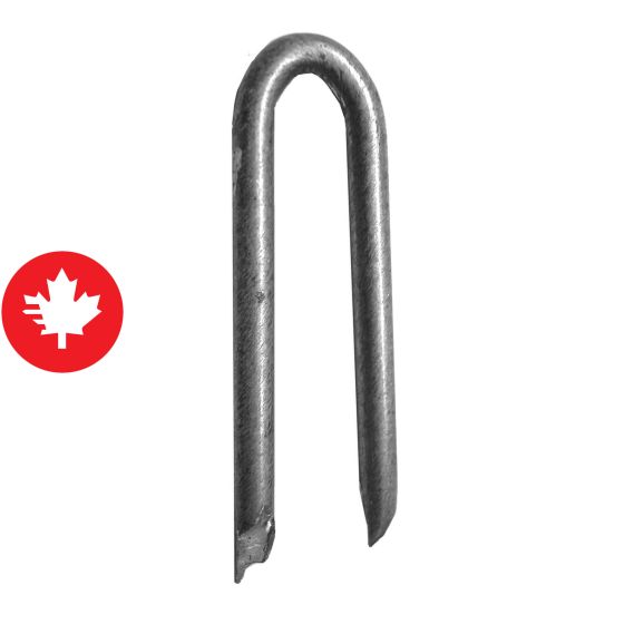 Crampe galvanisée à chaud, 1 1/2", 50 lb