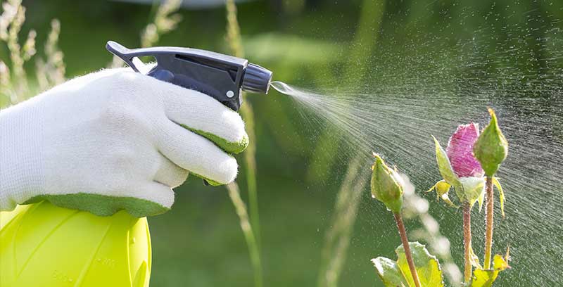 Pesticides et insecticides