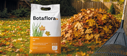 Botaflora fall lawn fertilizer bag beside a pile of fallen leaves and a rake on the lawn.