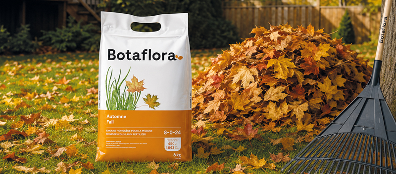 Botaflora fall lawn fertilizer bag beside a pile of fallen leaves and a rake on the lawn.